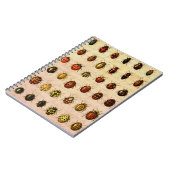 lieveheersbeestje insectenbeestje notitieboek (Linkerzijde)