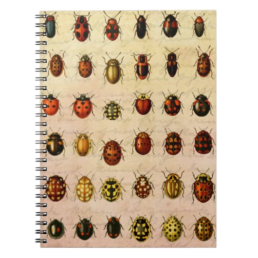 lieveheersbeestje insectenbeestje notitieboek (Voorkant)