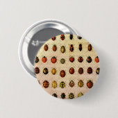 lieveheersbeestje insectenbeestje ronde button 5,7 cm (Voorkant /achterkant)