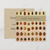 lieveheersbeestje insectenbeestje save the date (Voorkant / Achterkant)