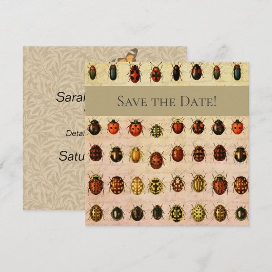lieveheersbeestje insectenbeestje save the date (Voorkant / Achterkant)