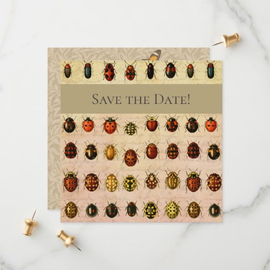 lieveheersbeestje insectenbeestje save the date (Voorkant / Achterkant in situ)