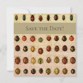 lieveheersbeestje insectenbeestje save the date (Voorkant)