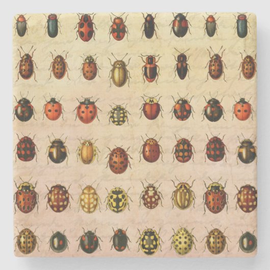 lieveheersbeestje insectenbeestje stenen onderzetter (Voorkant)