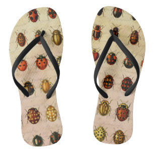lieveheersbeestje insectenbeestje teenslippers