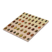 lieveheersbeestje insectenbeestje tegeltje (Zijkant)