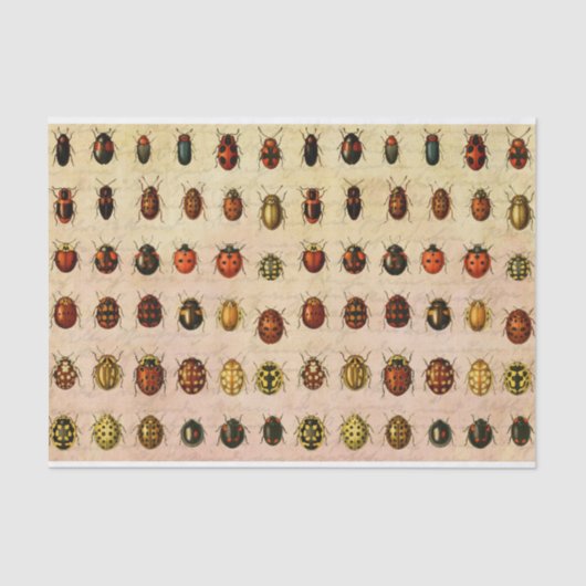 lieveheersbeestje insectenbeestje tissuepapier (Voorkant)