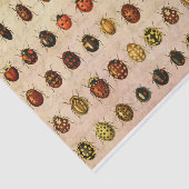 lieveheersbeestje insectenbeestje tissuepapier (Detail)