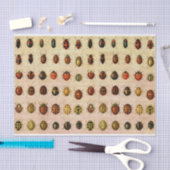 lieveheersbeestje insectenbeestje tissuepapier (Craft)