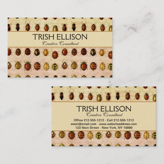 lieveheersbeestje insectenbeestje visitekaartje (Voorkant / Achterkant)