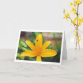 Lieveheersbeestje Kaart (Gele Bloem)