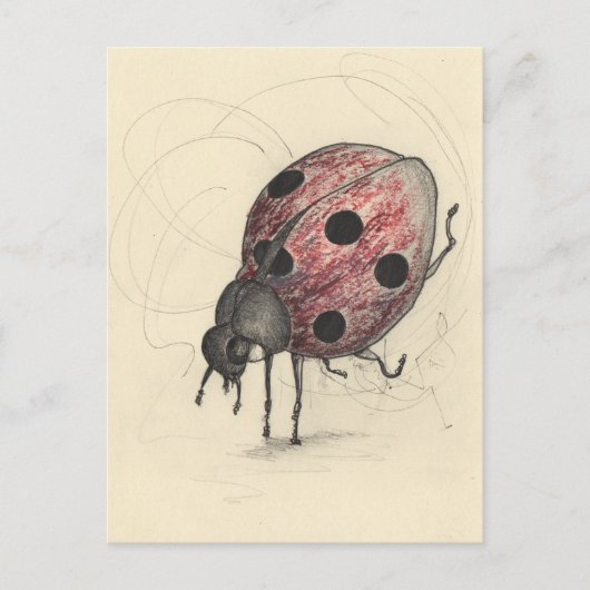 Lieveheersbeestje kan niet dansen feestdagenkaart (Voorkant)