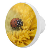 Lieveheersbeestje Keramische Knop (Rechts)