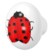 Lieveheersbeestje Keramische Knop (Rechts)