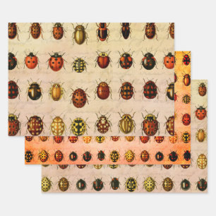 Lieveheersbeestje Kevert Insect Bug Inpakpapier Vel
