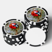 Lieveheersbeestje kruipend op boomstam poker chips (Opstapeling)