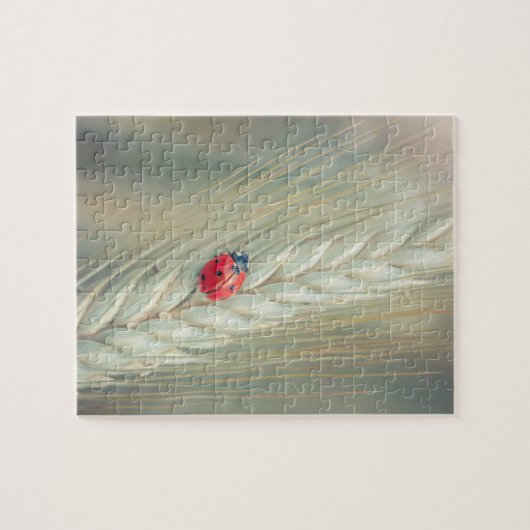 Lieveheersbeestje Legpuzzel (Horizontaal)