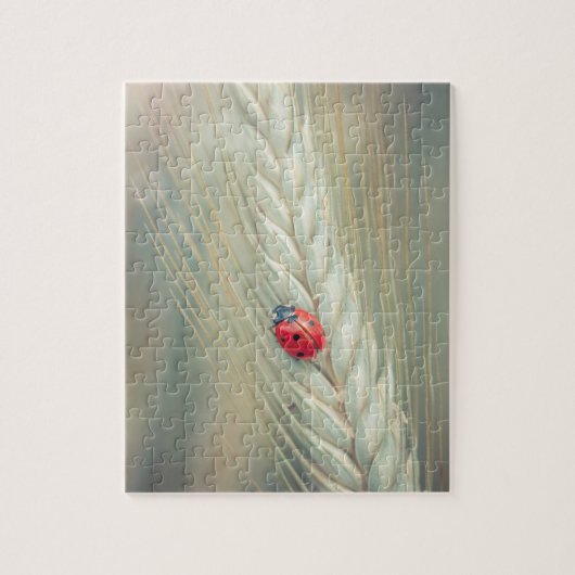 Lieveheersbeestje Legpuzzel (Verticaal)