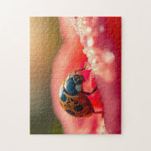 Lieveheersbeestje macro op een bloem legpuzzel (Verticaal)