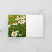 Lieveheersbeestje & madeliefjes bedankkaart (Binnen)