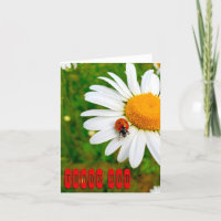 Lieveheersbeestje & madeliefjes