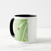 Lieveheersbeestje Mok (Voorkant links)