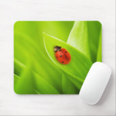 Lieveheersbeestje Muismat (Met muis)