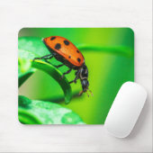 Lieveheersbeestje Muismat | Natuurlijk Bureaudecor (Met muis)