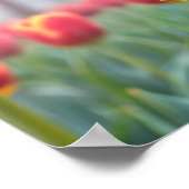 Lieveheersbeestje Natuur Kleurrijke Wildlife Seren Poster (Hoek)