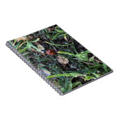 Lieveheersbeestje Notitieboek (Rechterzijde)