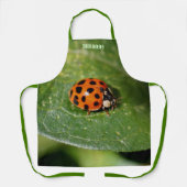 Lieveheersbeestje op blad gepersonaliseerd schort (Voorkant)
