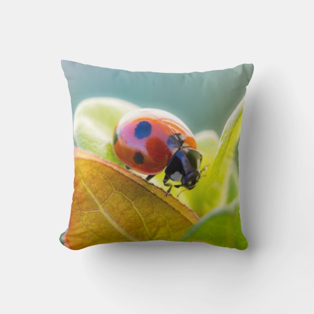 Lieveheersbeestje Op Blad Kussen (Voorkant)