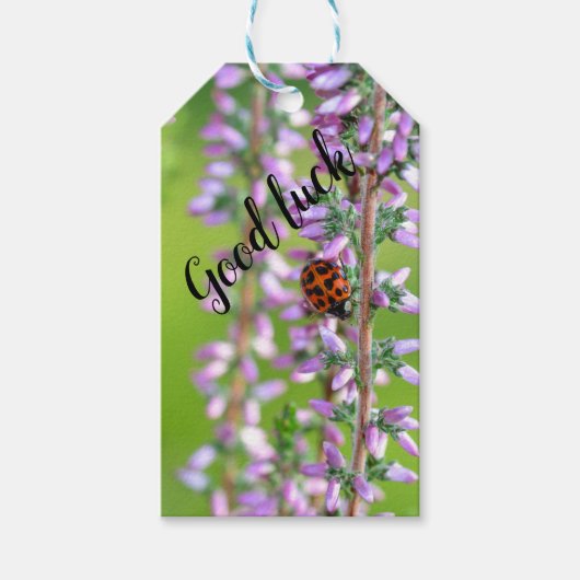 Lieveheersbeestje op bloem   -    cadeaulabel (Voorkant)