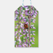 Lieveheersbeestje op bloem   -    cadeaulabel (Achterkant)