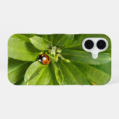 Lieveheersbeestje op Bloemen iPhone 16 Hoesje (Achterkant horizontaal)