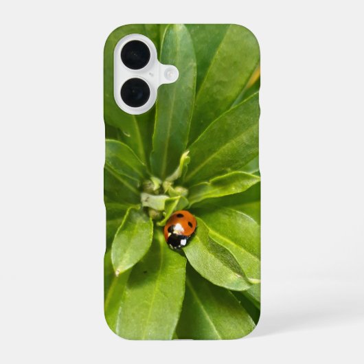 Lieveheersbeestje op Bloemen iPhone 16 Hoesje (Achterkant)