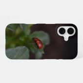 Lieveheersbeestje op Bloemen iPhone 16 Hoesje (Achterkant horizontaal)