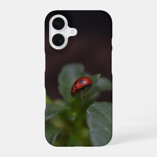 Lieveheersbeestje op Bloemen iPhone 16 Hoesje (Achterkant)