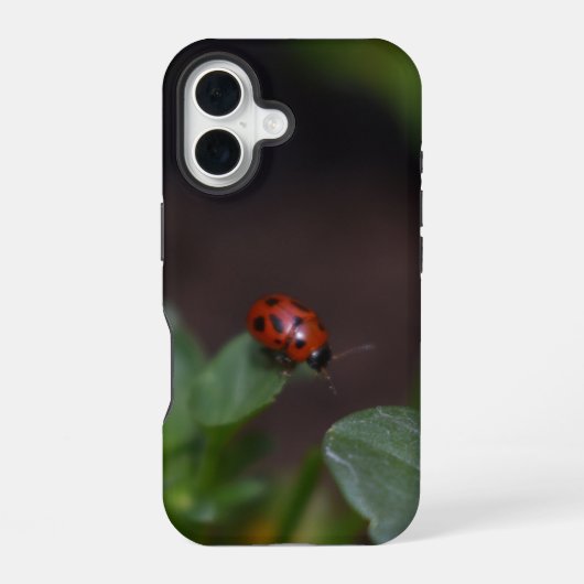 Lieveheersbeestje op Bloemen iPhone 16 Hoesje (Achterkant)