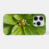 Lieveheersbeestje op Bloemen iPhone Hoesje (Achterkant horizontaal)