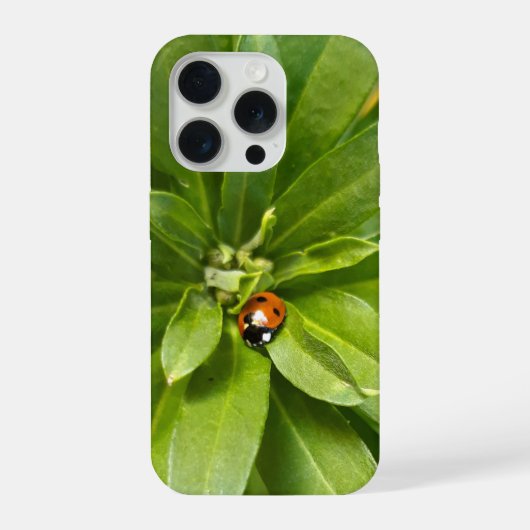 Lieveheersbeestje op Bloemen iPhone Hoesje (Achterkant)