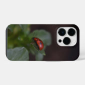 Lieveheersbeestje op Bloemen iPhone Hoesje (Achterkant horizontaal)