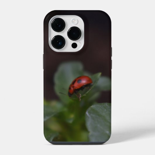 Lieveheersbeestje op Bloemen iPhone Hoesje (Achterkant)