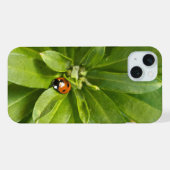 Lieveheersbeestje op Bloemen iPhone Hoesje (Achterkant horizontaal)