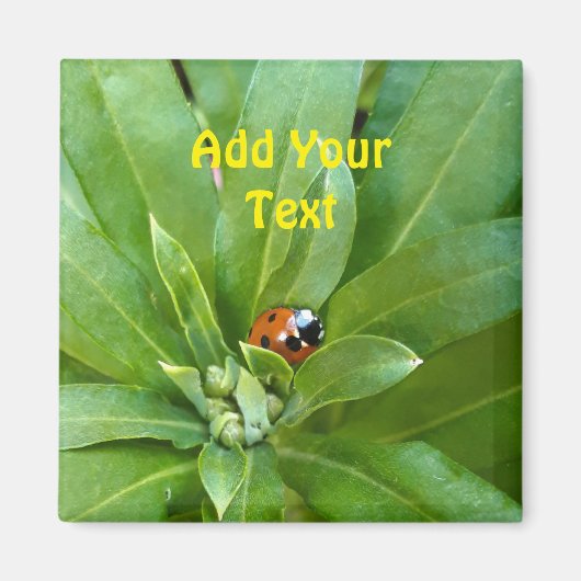 Lieveheersbeestje op Bloemen Magneet (Voorkant)