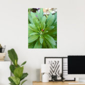 Lieveheersbeestje op Bloemen Poster (Thuiskantoor)