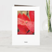 Lieveheersbeestje op de Bladeren van de Herfst Kaart (Achterkant)