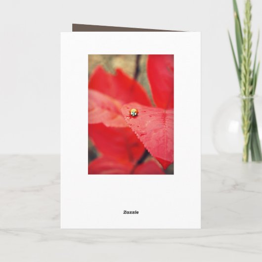 Lieveheersbeestje op de Bladeren van de Herfst Kaart (Achterkant)