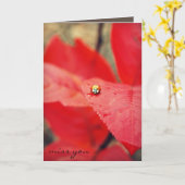 Lieveheersbeestje op de Bladeren van de Herfst Kaart (Gele Bloem)