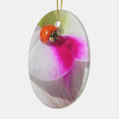 Lieveheersbeestje op de petunia - ornament (Links)